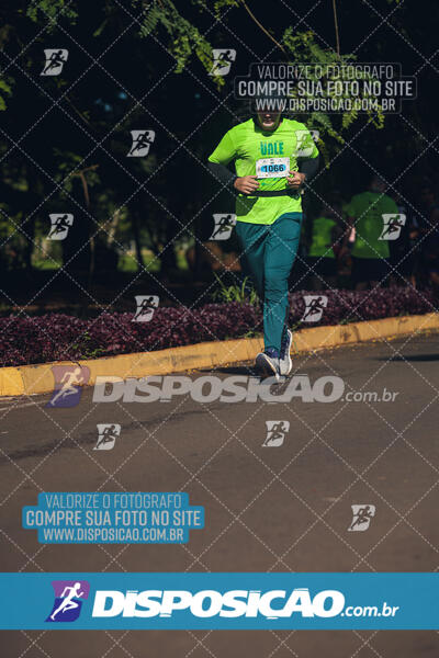 Vale Verde Run 2024