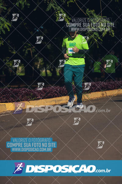 Vale Verde Run 2024