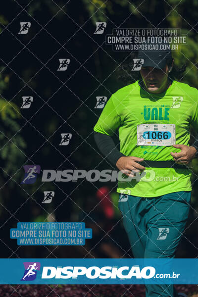 Vale Verde Run 2024