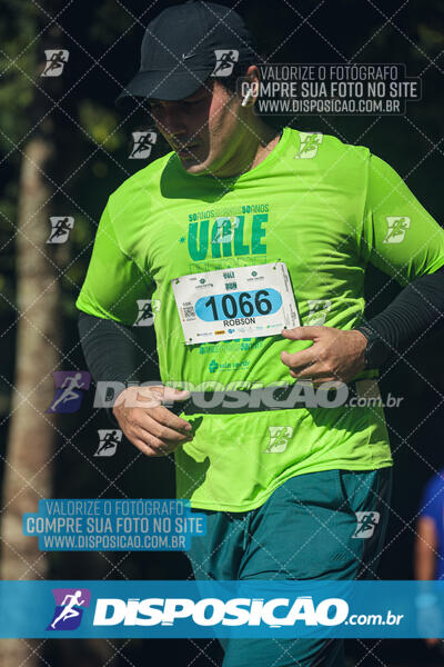 Vale Verde Run 2024