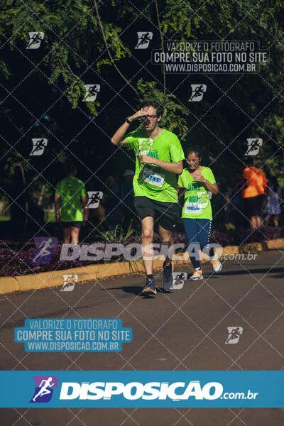 Vale Verde Run 2024