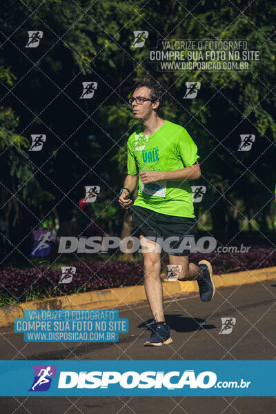 Vale Verde Run 2024