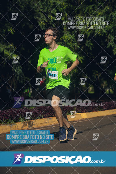 Vale Verde Run 2024