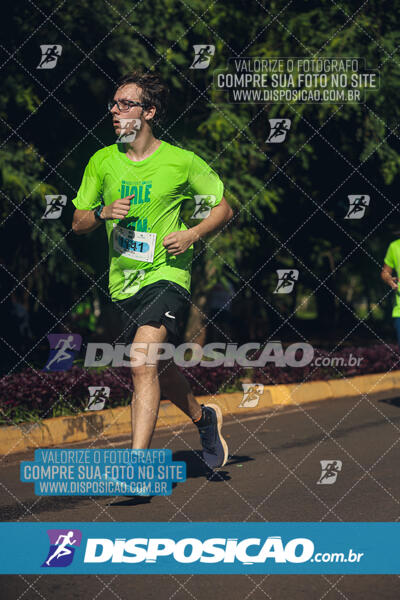 Vale Verde Run 2024