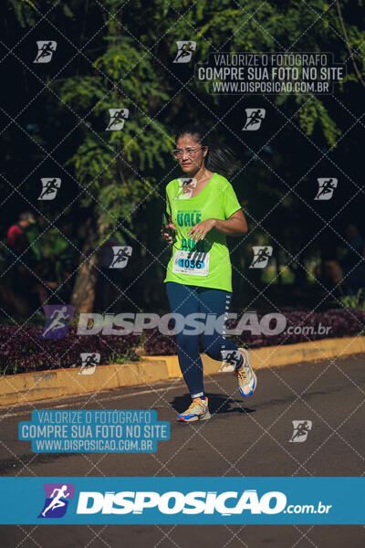 Vale Verde Run 2024