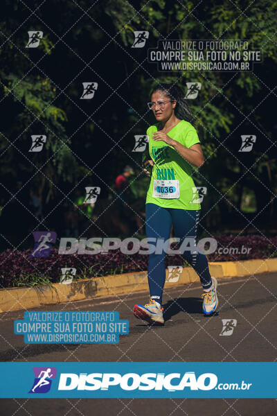 Vale Verde Run 2024