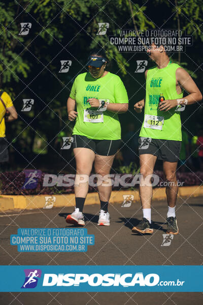 Vale Verde Run 2024