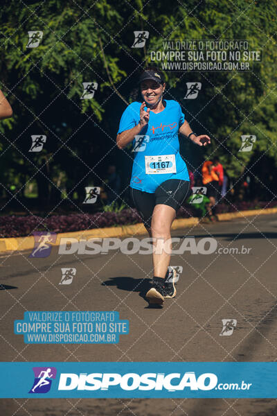 Vale Verde Run 2024