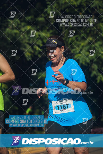 Vale Verde Run 2024