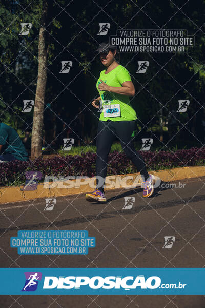 Vale Verde Run 2024