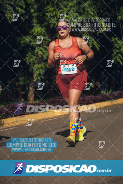 Vale Verde Run 2024