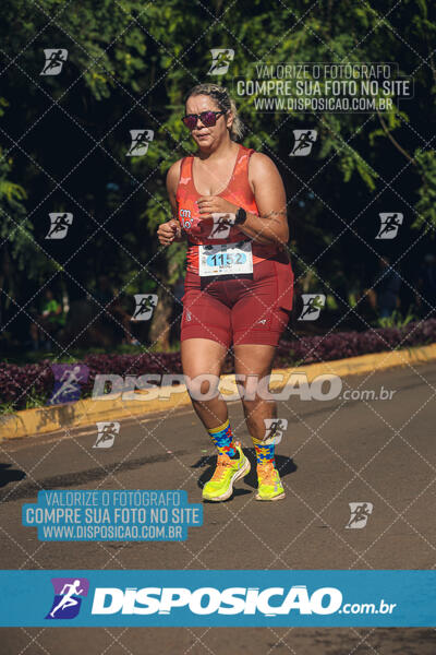 Vale Verde Run 2024