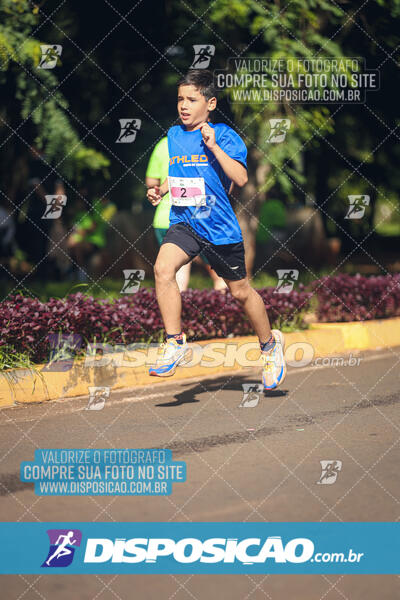 Vale Verde Run 2024