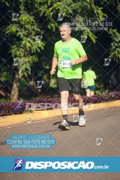 Vale Verde Run 2024