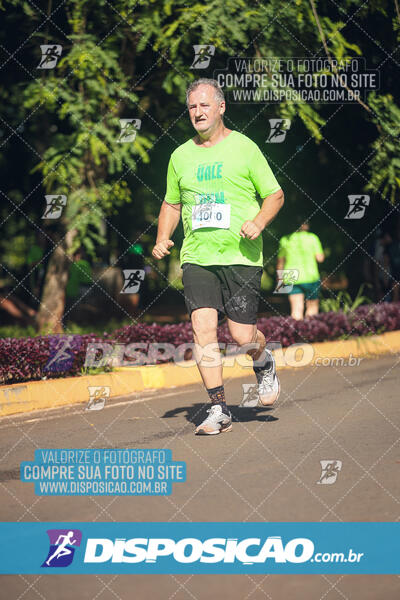 Vale Verde Run 2024