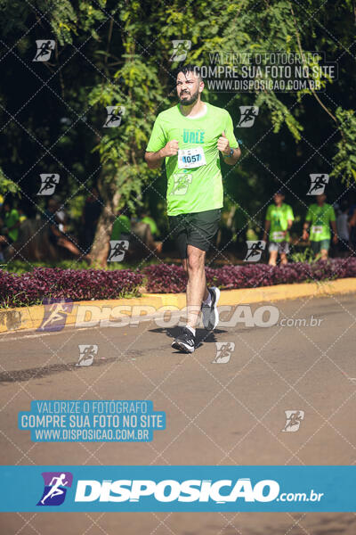 Vale Verde Run 2024