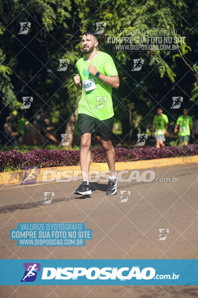 Vale Verde Run 2024