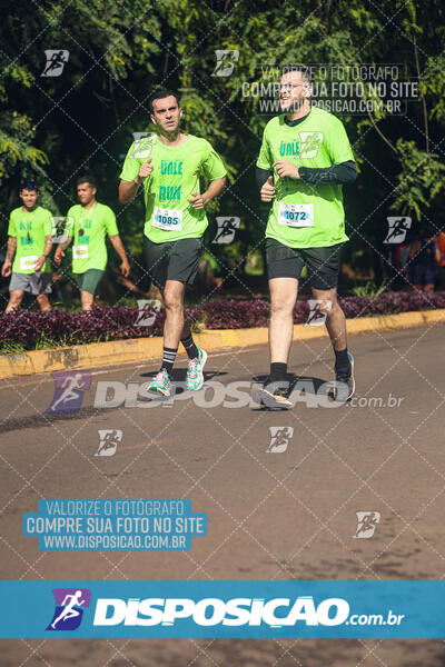 Vale Verde Run 2024