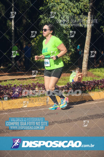 Vale Verde Run 2024