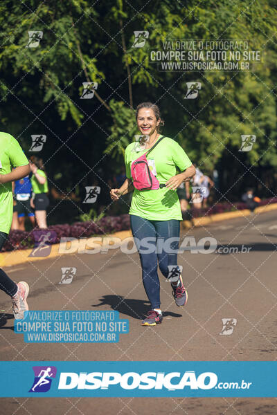 Vale Verde Run 2024