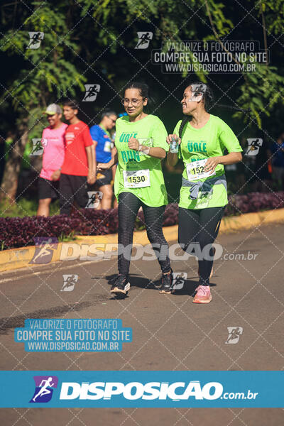 Vale Verde Run 2024