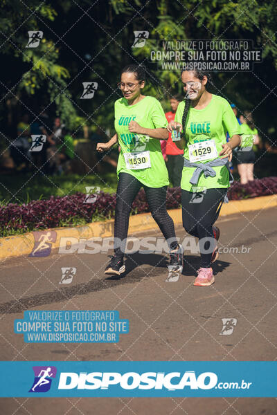 Vale Verde Run 2024