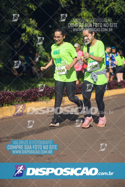 Vale Verde Run 2024