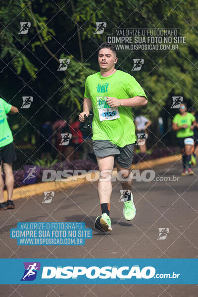 Vale Verde Run 2024