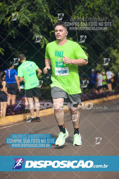 Vale Verde Run 2024