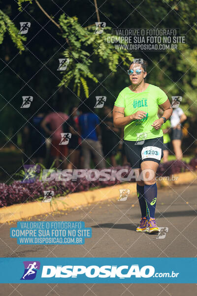 Vale Verde Run 2024