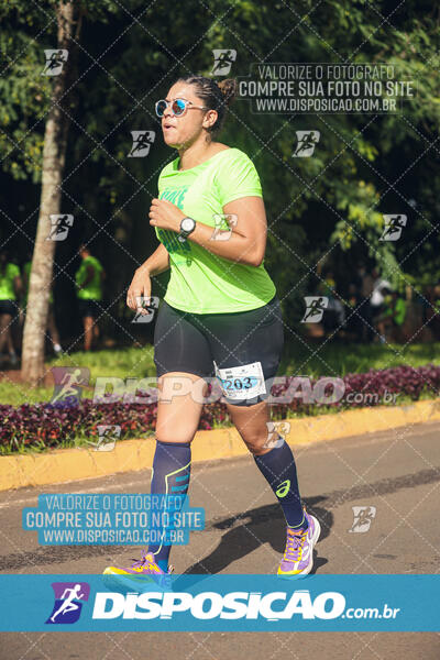 Vale Verde Run 2024