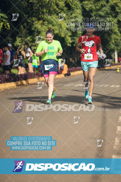 Vale Verde Run 2024