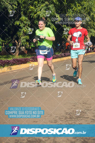 Vale Verde Run 2024