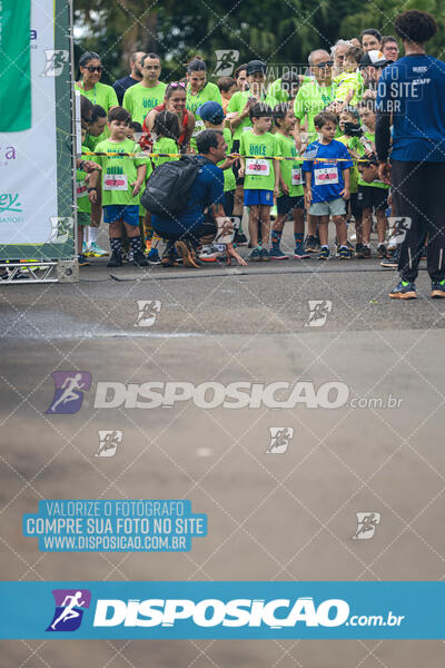 Vale Verde Run 2024