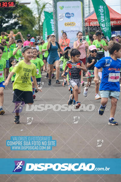 Vale Verde Run 2024