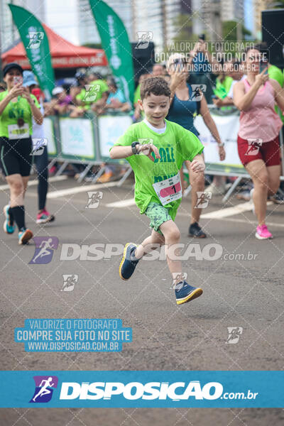 Vale Verde Run 2024