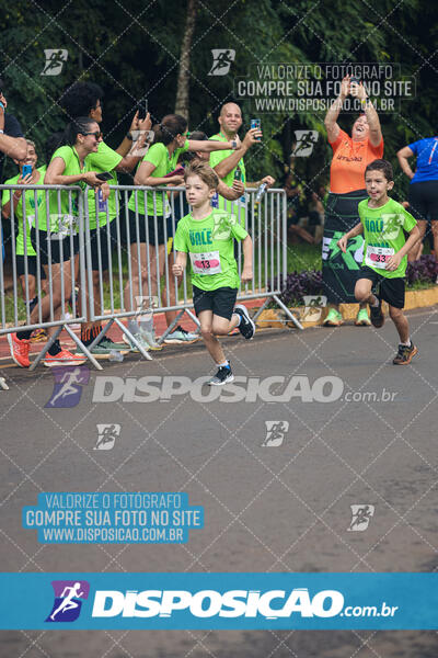 Vale Verde Run 2024