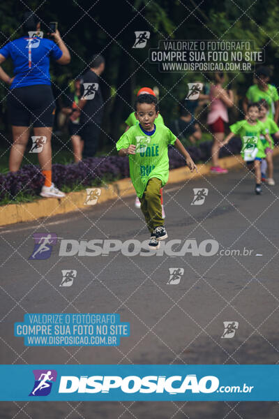 Vale Verde Run 2024