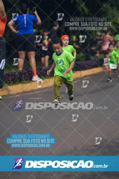 Vale Verde Run 2024