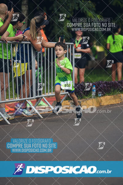 Vale Verde Run 2024