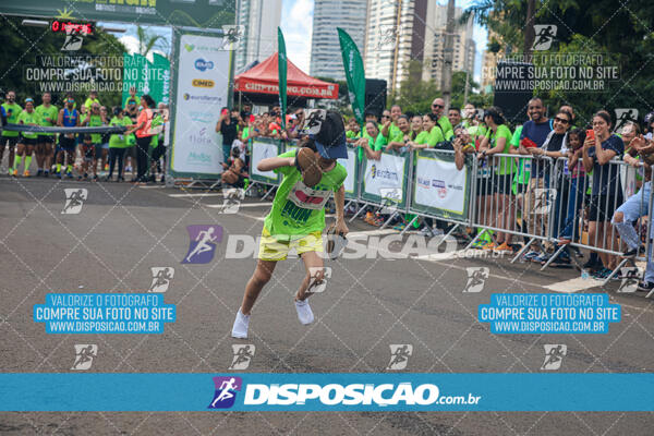 Vale Verde Run 2024