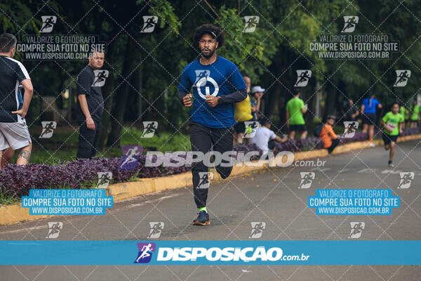 Vale Verde Run 2024