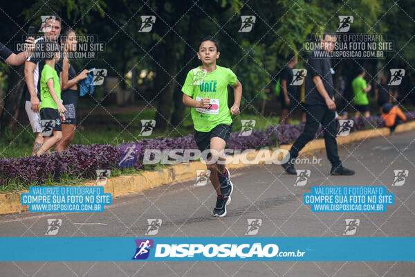 Vale Verde Run 2024