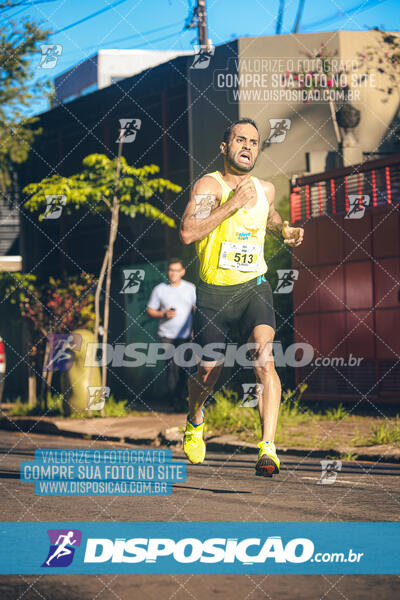 Vale Verde Run 2024