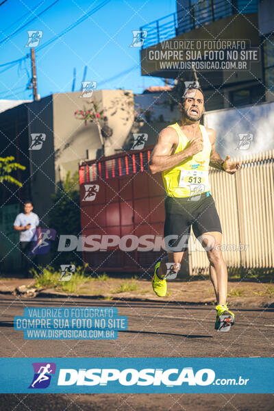 Vale Verde Run 2024