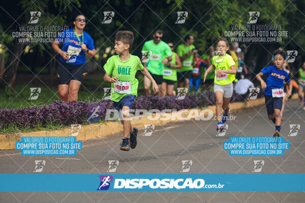 Vale Verde Run 2024