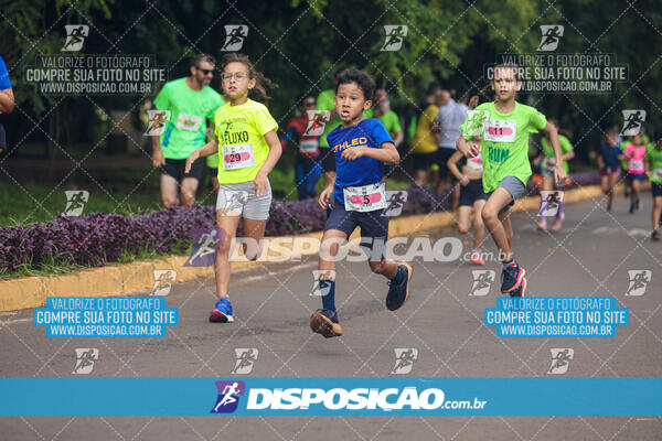 Vale Verde Run 2024