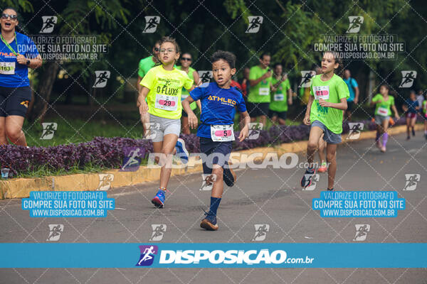 Vale Verde Run 2024