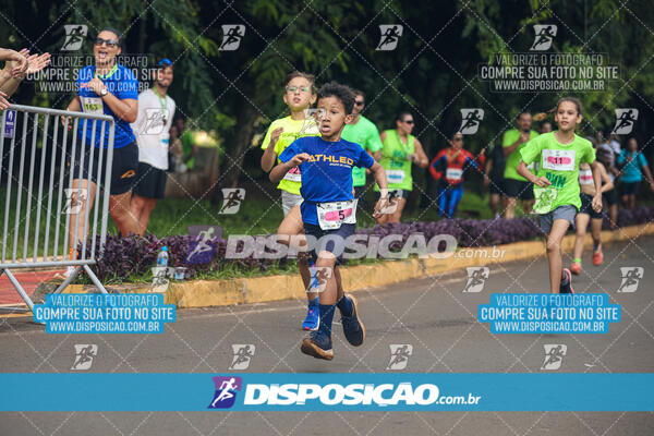 Vale Verde Run 2024