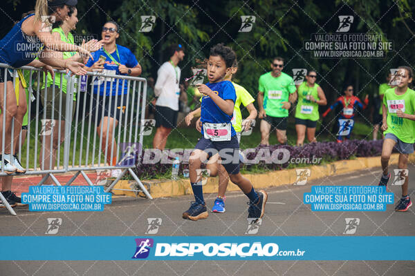 Vale Verde Run 2024